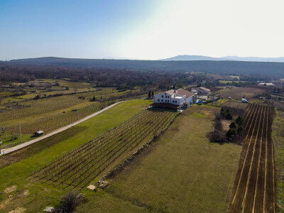 Grožđe beremo ručno i to su nam najljepši dani u godini