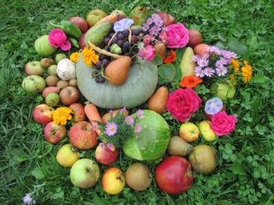 Bogatstvo vocnjaka i vrta