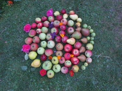 Rapsodija oblika, boja, mirisa, okusa