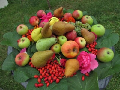 Uz voće i plodovi prirode