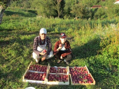 Đorđe i kći Natalija