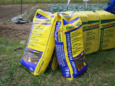 Timac ago - Dan polja kupusa