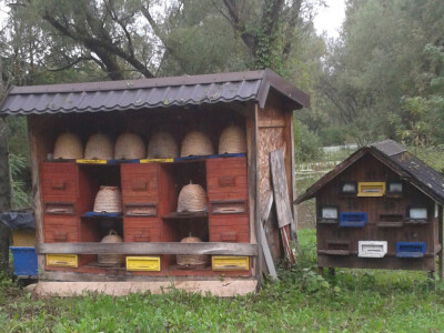 OPG Marijana Đurić