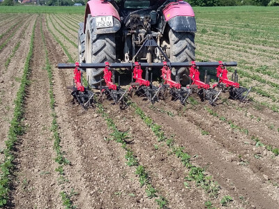 OPG Marijana Đurić