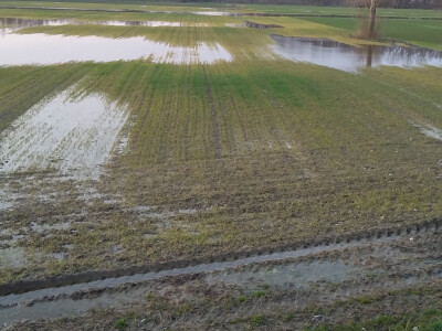 Dio površina stradalih od poplava