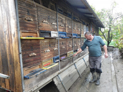 OPG Marijana Đurić