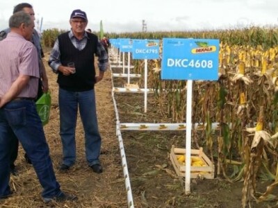 Prezentacija na Dekalb Centralnim danima polja