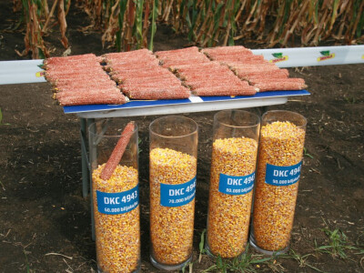 DEKALB Inovativni centar 2016.