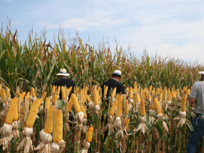 DEKALB Inovativni centar 2016.