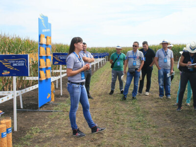 Marija Polić predstavnica za centralni Banat