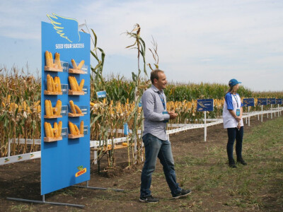 Dejan Nedeljković predstavnik za Južni Banat i Braničevo