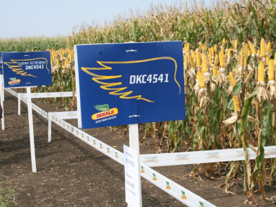 DEKALB Inovativni centar 2016.