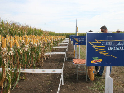 DEKALB Inovativni centar 2016.