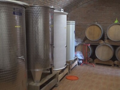 Dobar kvalitet ovogodišnjeg grožđa