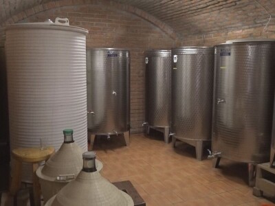 Dobar kvalitet ovogodišnjeg grožđa