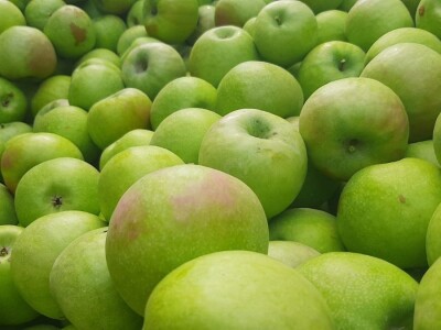 Dobar prinos a dobar i kvalitet, kakva će biti cena? Foto: M. Lazarević
