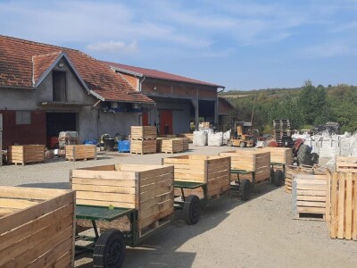 Dobar prinos a dobar i kvalitet, kakva će biti cena? Foto: M. Lazarević