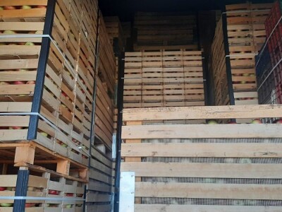 Dobar prinos a dobar i kvalitet, kakva će biti cena? Foto: M. Lazarević