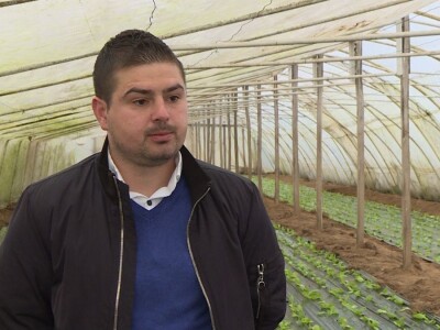 Dobro seme, temperatura i provetravanje bitni za rasad