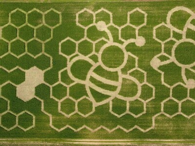 Dobrodošlica Taylor Swift i turneji The Ears