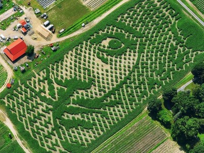 Dobrodošlica Taylor Swift i turneji The Ears Dobrodošlica Taylor Swift i turneji The Ears