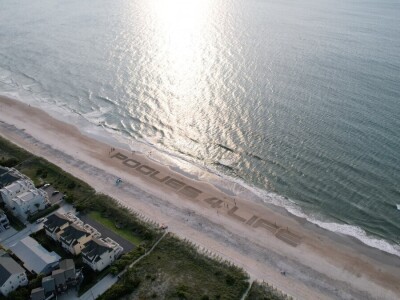 Dobrodošlica Taylor Swift i turneji The Ears Dobrodošlica Taylor Swift i turneji The Ears