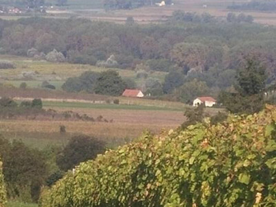 Lijep vidik iz vinograda na Gospodskom brdu
