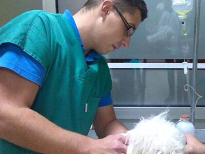 Doktor Miljan Dobrijević: Veterinar mora biti spreman na sve Doktor Miljan Dobrijević: Veterinar mora biti spreman na sve