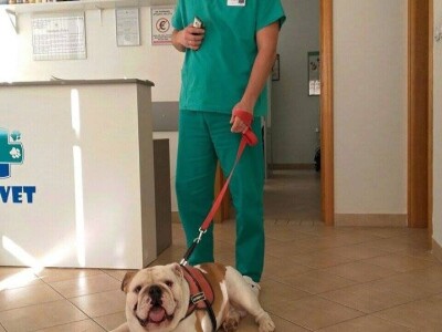 Doktor Miljan Dobrijević: Veterinar mora biti spreman na sve Doktor Miljan Dobrijević: Veterinar mora biti spreman na sve