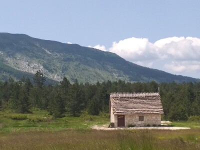 Dolaze turisti iz cijelog svijeta, ali čoban Perko ne može da nađe ženu