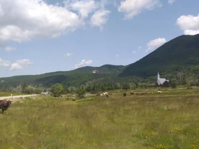 Dolaze turisti iz cijelog svijeta, ali čoban Perko ne može da nađe ženu