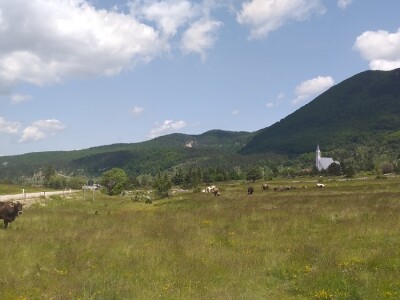 Dolaze turisti iz cijelog svijeta, ali čoban Perko ne može da nađe ženu