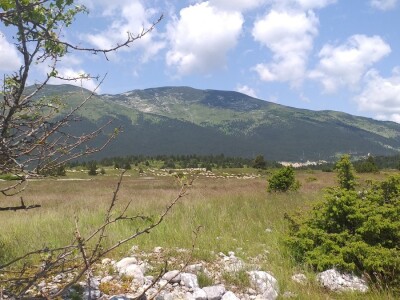 Dolaze turisti iz cijelog svijeta, ali čoban Perko ne može da nađe ženu