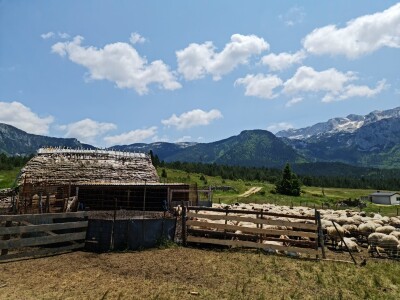 Dolaze turisti iz cijelog svijeta, ali čoban Perko ne može da nađe ženu
