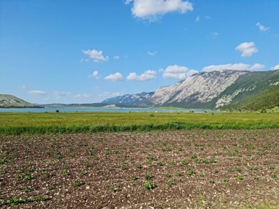 Dolaze turisti iz cijelog svijeta, ali čoban Perko ne može da nađe ženu
