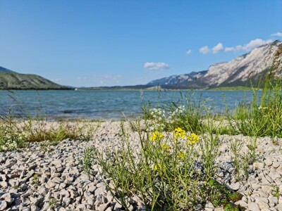 Dolaze turisti iz cijelog svijeta, ali čoban Perko ne može da nađe ženu