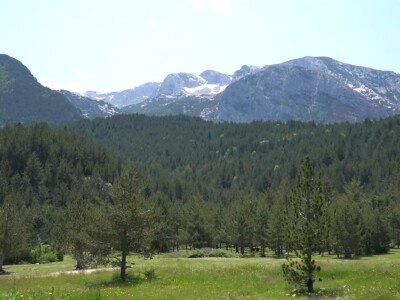 Dolaze turisti iz cijelog svijeta, ali čoban Perko ne može da nađe ženu