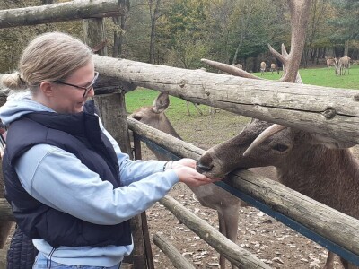 Dolina jelena Dolina jelena