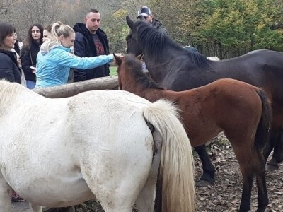 Dolina jelena Dolina jelena