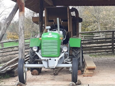 Dolina jelena Dolina jelena