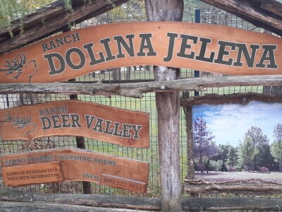 Dolina jelena Dolina jelena