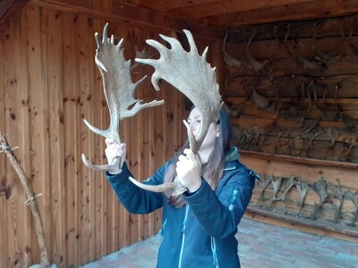 Dolina jelena Dolina jelena