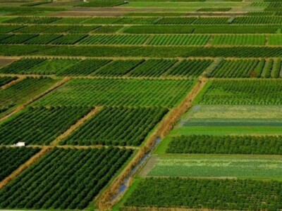 Dolina Neretve (detalj)