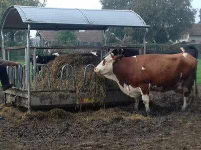 Lako za blato, samo nek je hrana na suhom