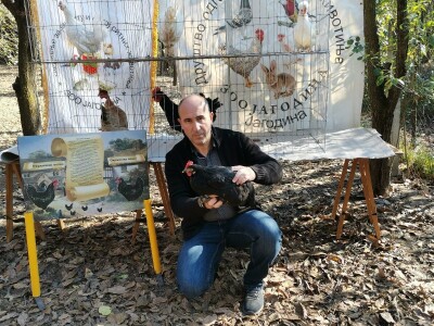 Domaća autohtona živina važan resurs Srbije