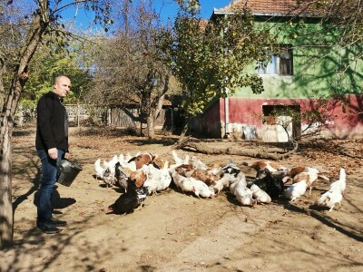 Domaća autohtona živina važan resurs Srbije