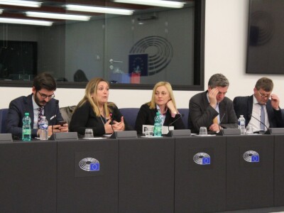 Domaća vina i maslinova ulja predstavljena u Strasbourgu