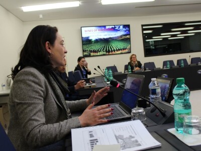 Domaća vina i maslinova ulja predstavljena u Strasbourgu