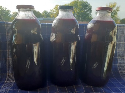 Domaći sok od mirisavke – vitaminska „bomba“