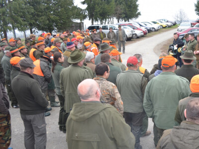 Domaćini su imali dosta posla dok su sve pristigle goste razmjestili na štandove gdje su čekali lisice i divlje svinje